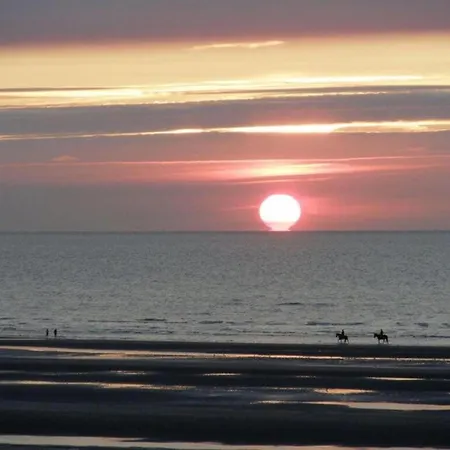 Near Sandy In Coastal Area Oostduinkerke