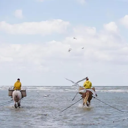 Near Sandy In Coastal Area Lägenhet Oostduinkerke