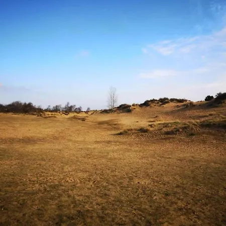 Near Sandy In Coastal Area *