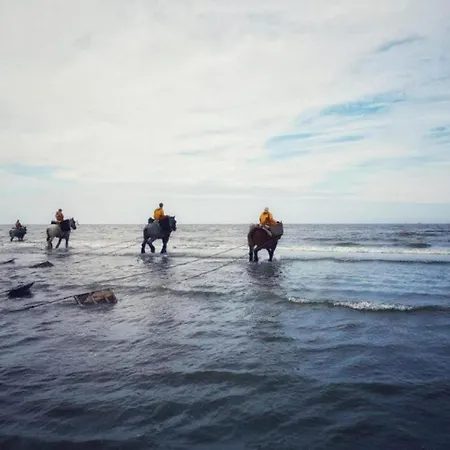 Near Sandy In Coastal Area *