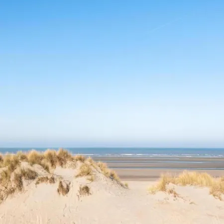 Near Sandy In Coastal Area * Oostduinkerke