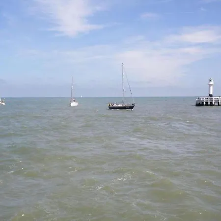 Near Sandy In Coastal Area *